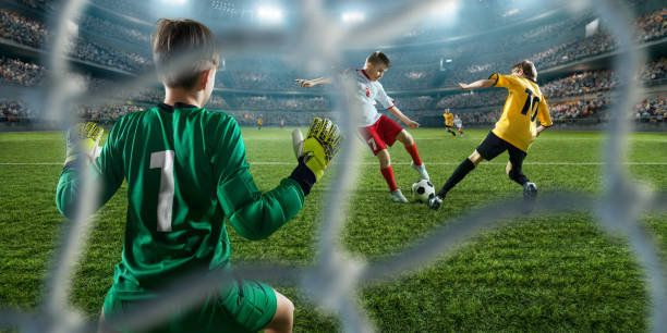 他们依旧展 他们依旧展